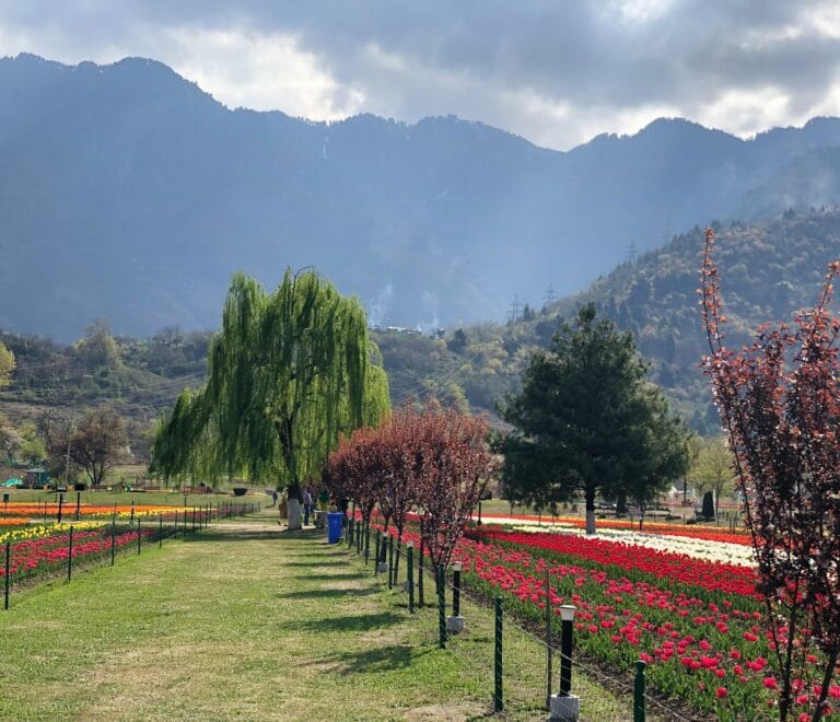 Honeymoon 6 Nights 7 Days Package